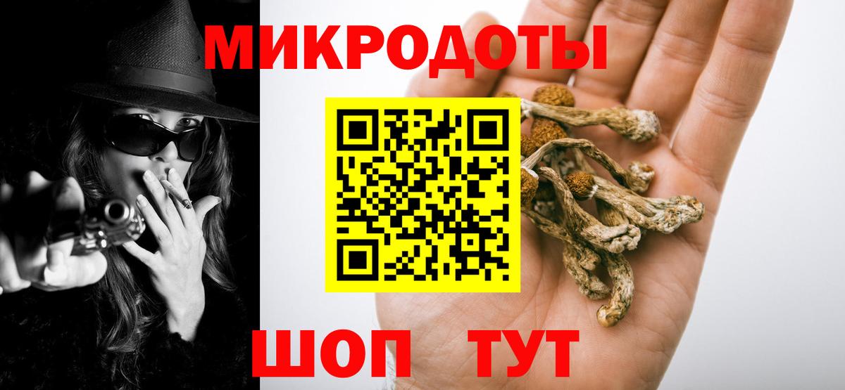 Кувандык  Галлюциногенные грибы Psilocybine cubensis  Вход с VPN  Псилоцибиновые грибы Cubensis 